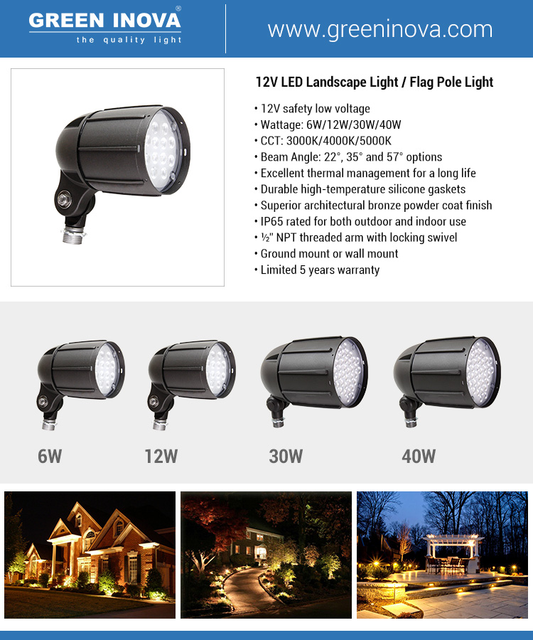 12V-5BF-Flyer