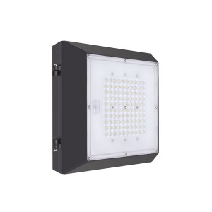 40W LED Canopy Light Garage Light High Output Gas Station Light IP65 140lm/w (6CP Series)