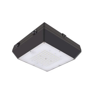 80W LED Garage Light Fixtures LED Canopy Light Waterproof Outdoor Ceiling Lights (6CP Series)