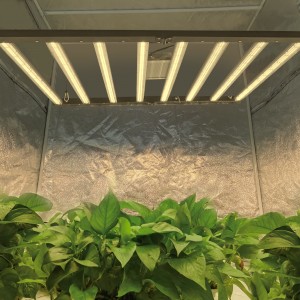 ETL 600W Foldable Full Spectrum LED Grow Light